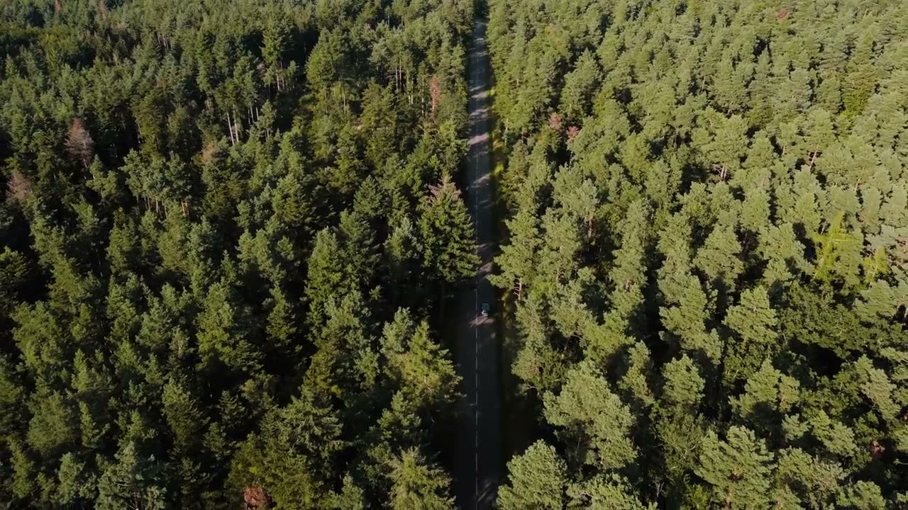 Karadeniz